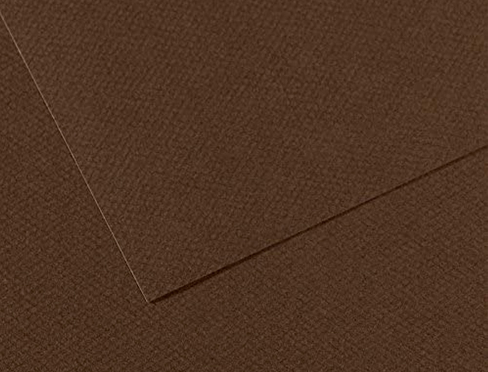 PAPIER DESSIN CANSON FEUILLE MI-TEINTES N 501 GRAIN        GELATINE HAUTE TENEUR COTON   160G 50X65CM UNICOLORE MARRON