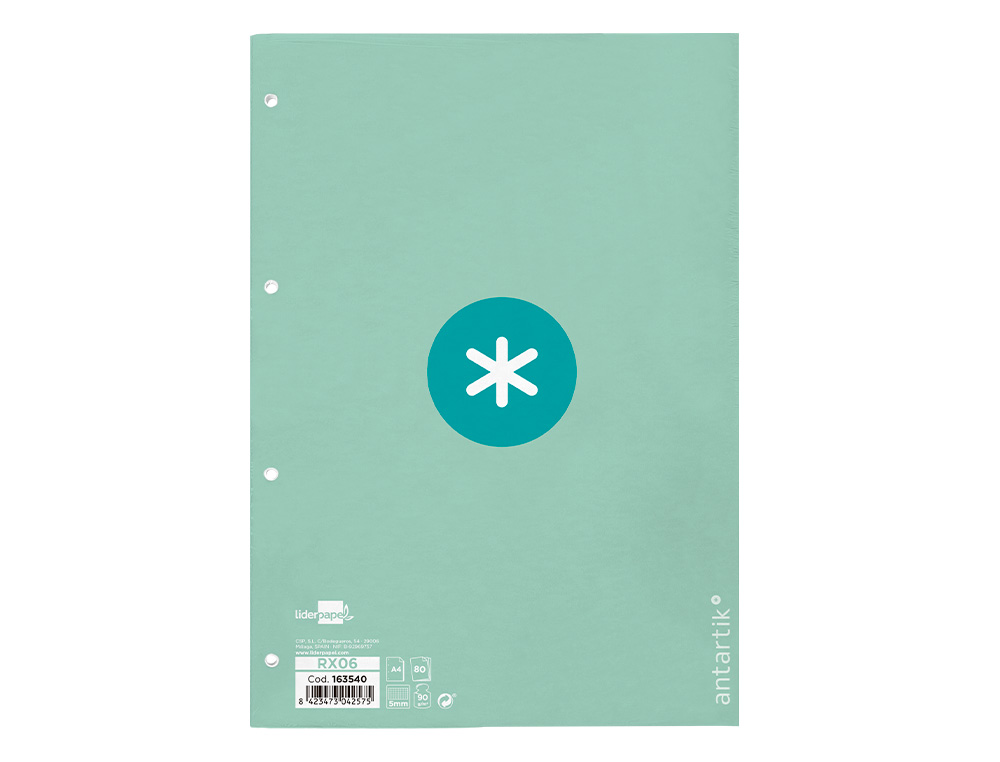 FEUILLET MOBILE ANTARTIK A4 80FEUILLES 90G QUADRILLAGE 5MM 4 TROUS BORD COLORIS MENTHE