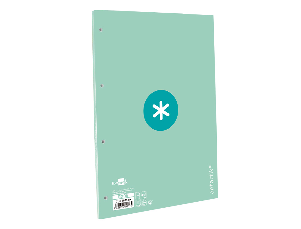 FEUILLET MOBILE ANTARTIK A4 80FEUILLES 90G QUADRILLAGE 5MM 4 TROUS BORD COLORIS MENTHE