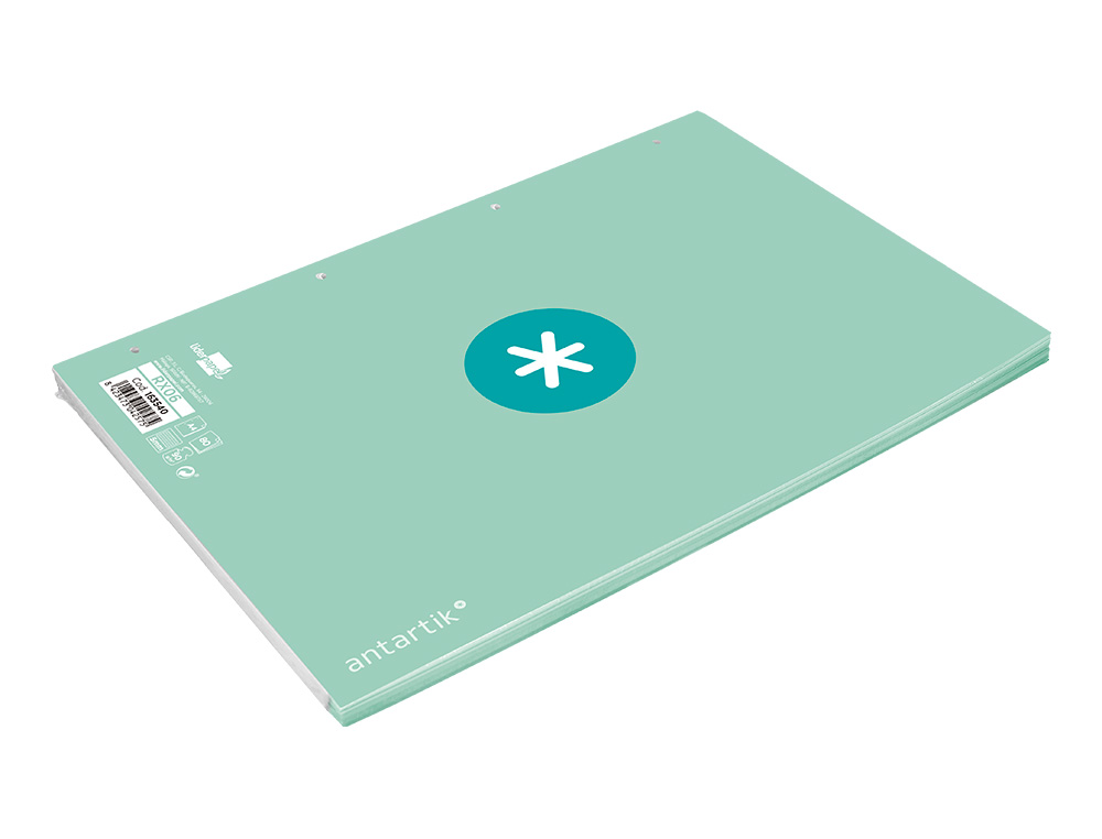 FEUILLET MOBILE ANTARTIK A4 80FEUILLES 90G QUADRILLAGE 5MM 4 TROUS BORD COLORIS MENTHE